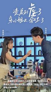 凌總別虐了，桑小姐又孕吐了