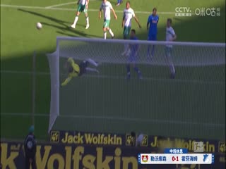 德甲聯(lián)賽 勒沃庫森VS霍芬海姆 20240330