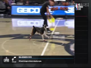 NBA常規(guī)賽 活塞VS魔術(shù) 20231209