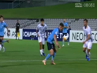 亞冠二級(jí)小組賽 悉尼VS廣島三箭 20241107