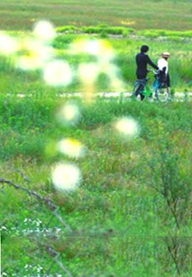 牽?；?>
                                </div>
                            </div>
                            <div   id=