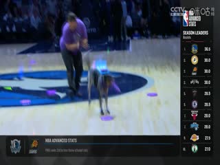 NBA常規(guī)賽 猛龍VS森林狼 20241027