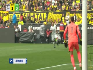 德甲聯(lián)賽 多特蒙德VS沃爾夫斯堡 20250504