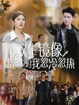 雙生鏡像陸先生對我忽冷忽熱