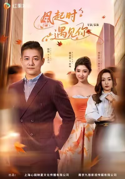 風(fēng)起時遇見你